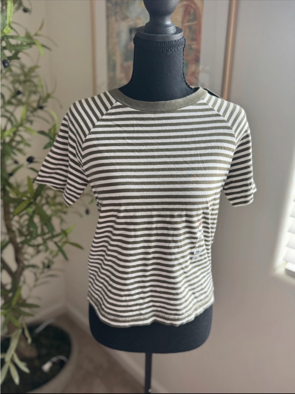 Levi’s Striped Crewneck Short Sleeve Top - Olive/White